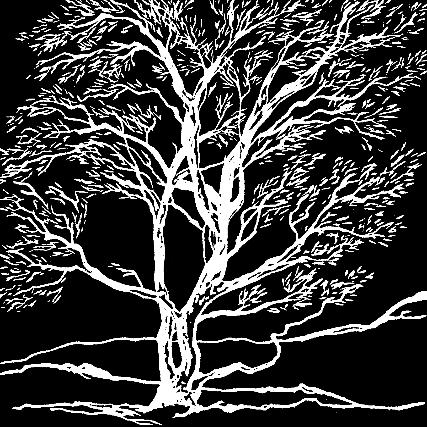 Tree_of_Life