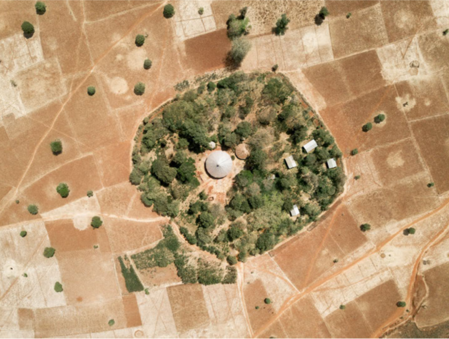 Church_Forest_Ethiopia.png