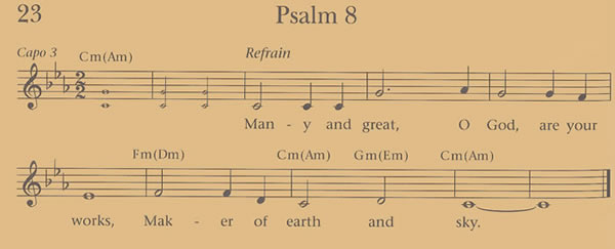 Click to View Slideshow on Examples of Psalm Settings