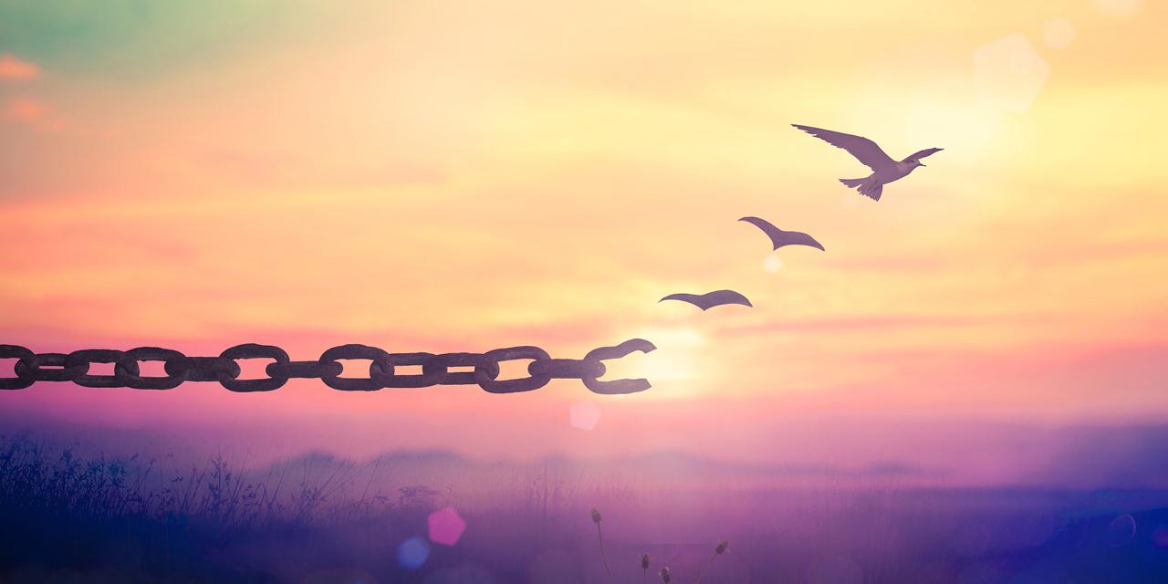 sunrise with chain and bird