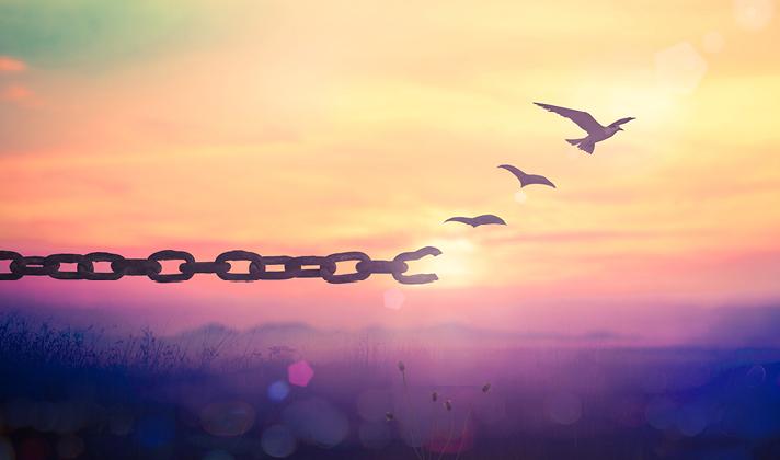 Sunrise, broken chain, bird